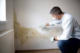 Pleasant Hill, MS Mold Inspection Company